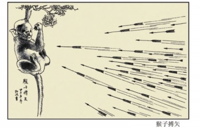 猴子搏矢
